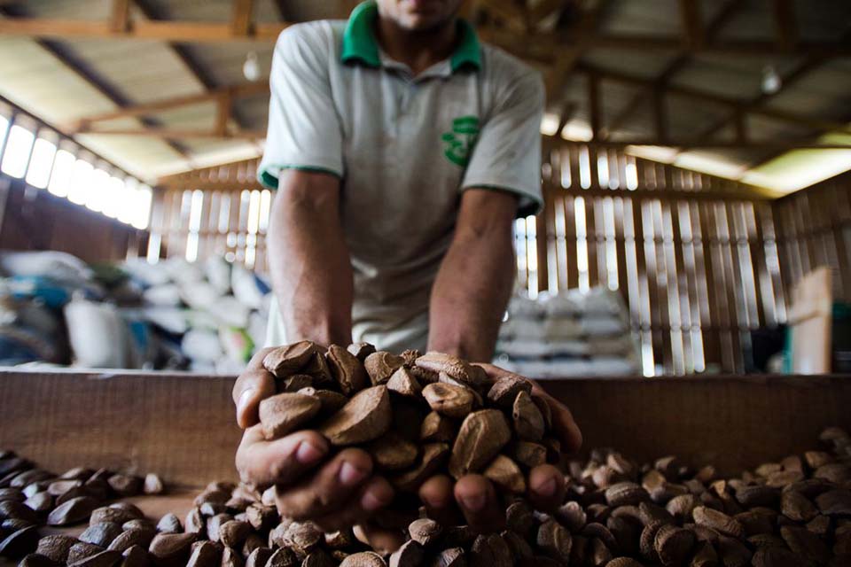 BNDES vai destinar R$ 2,5 milhões para bioeconomia na Amazônia