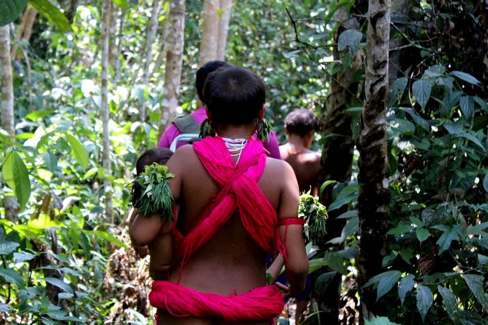 Garimpeiros exigem sexo com meninas e mulheres Yanomami em troca de comida, aponta relatório