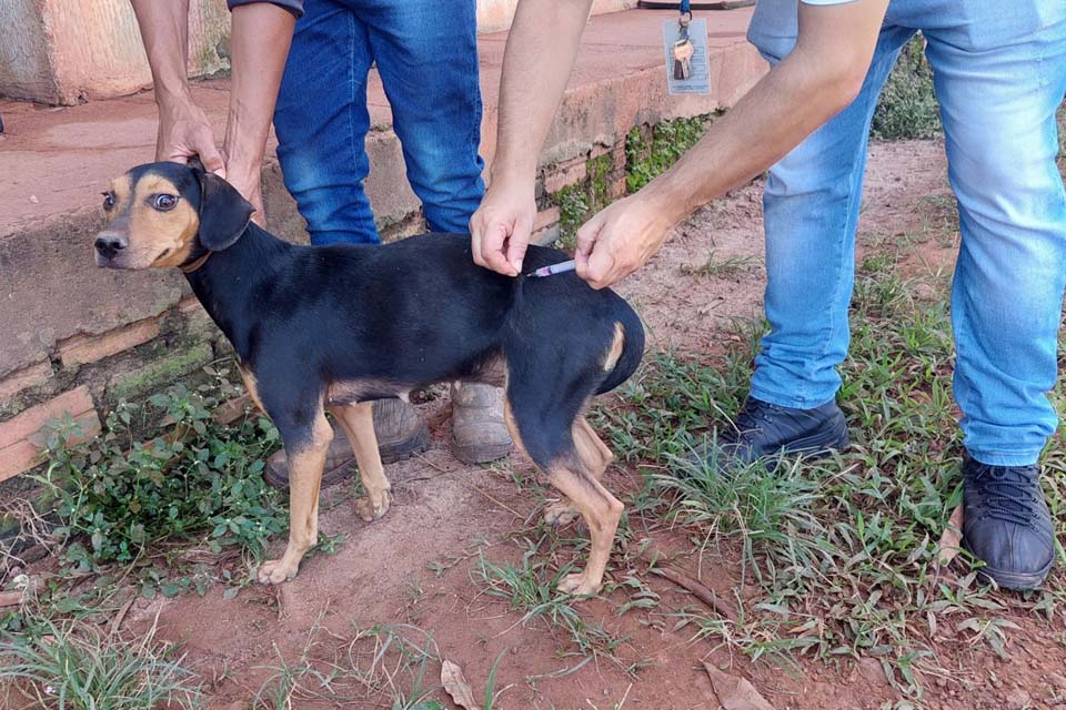 Pelo segundo ano consecutivo, Semusa leva vacinação contra a raiva animal à Vila Princesa