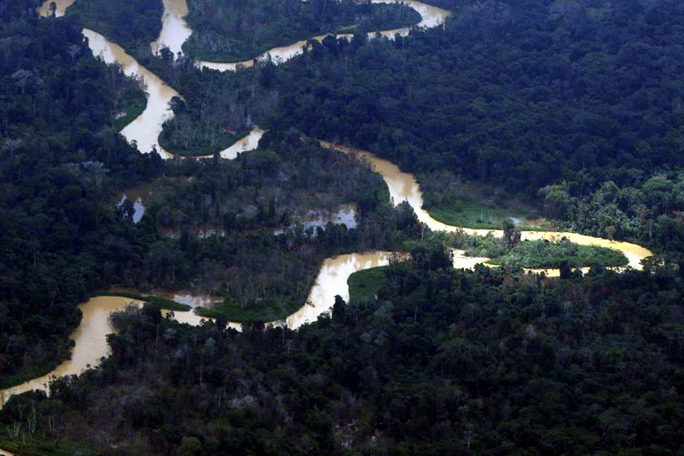 Governo do Pará assina decreto para combater garimpo e desmatamento