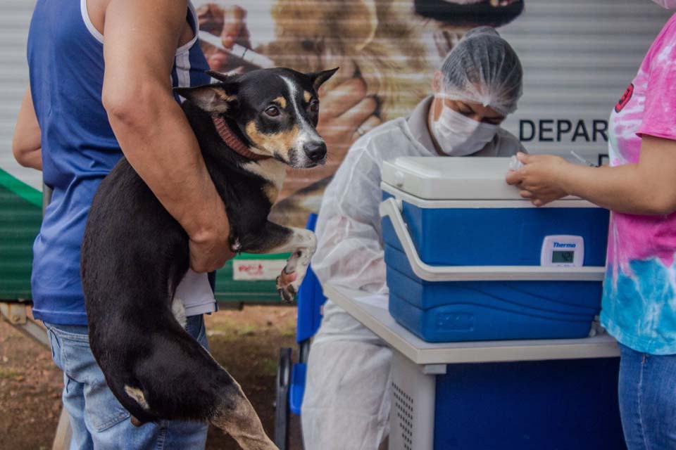 Unidade de Vigilância em Zoonoses de Porto Velho atua em ações voltadas à saúde pública