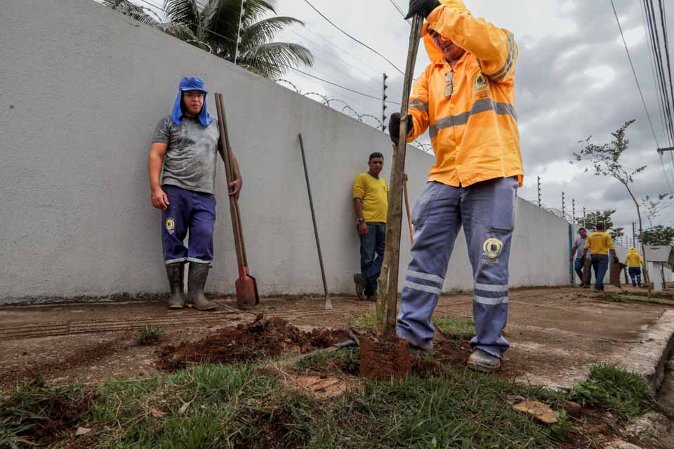 Prefeitura faz substituição de espécies de plantas na avenida Farqhuar