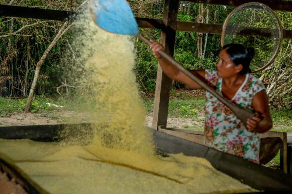 Farinheira preserva a Resex Rio Cautário e é beneficiada com recurso do crédito de carbono