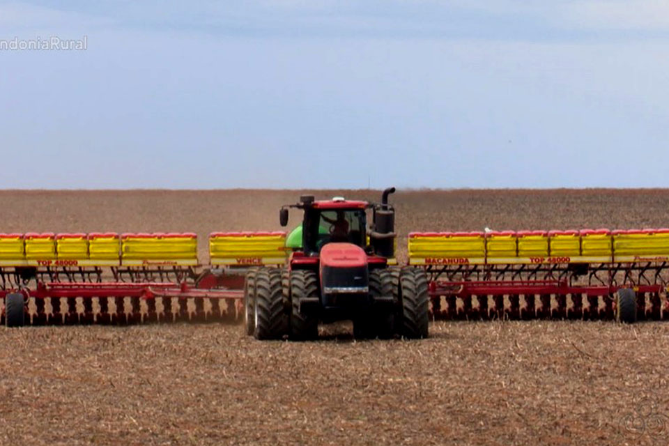 Agricultores iniciam plantio de soja em Rondônia com expectativa de produzir 420 mil hectares