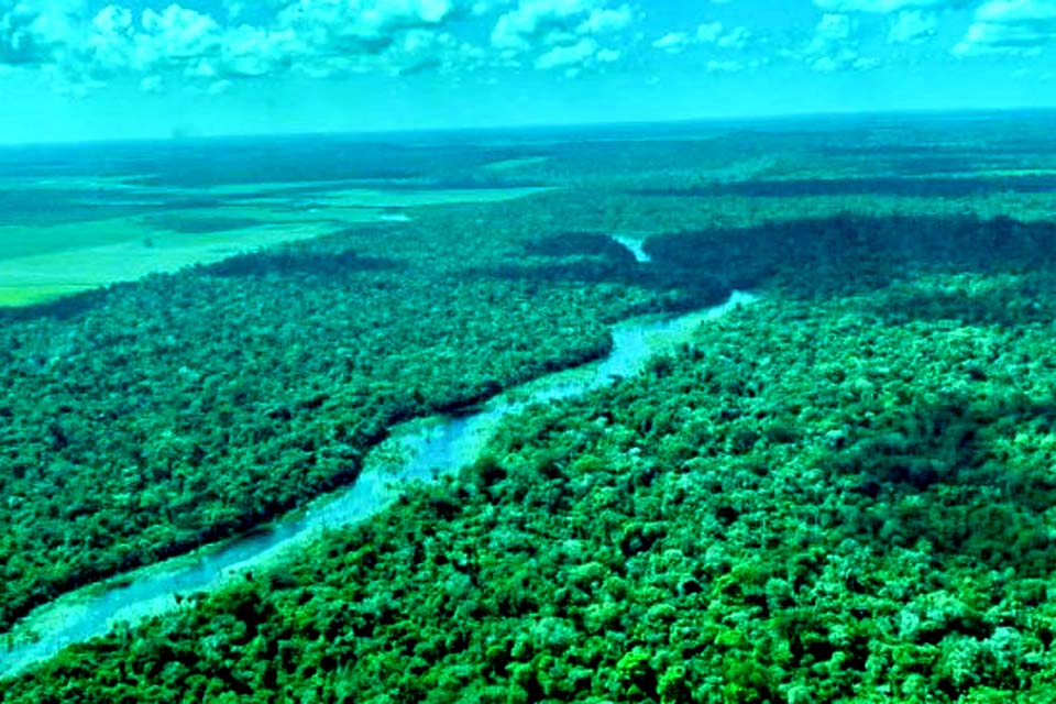 Rondônia foi o terceiro estado que mais reduziu vegetação nativa em 18 anos