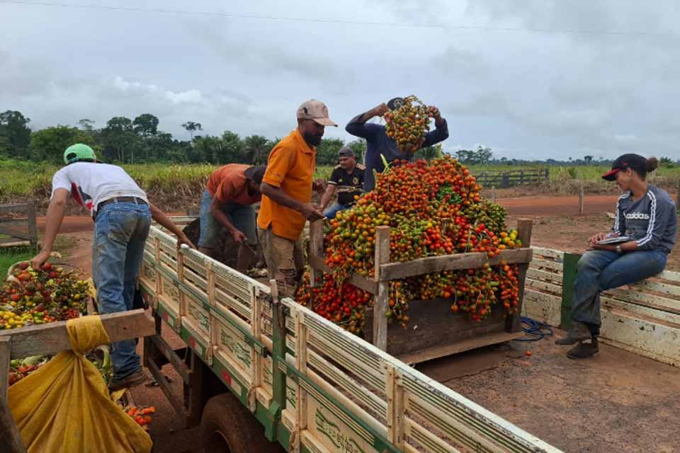 Agricultores podem solicitar transporte gratuito para escoamento da produção na feira livre de domingo