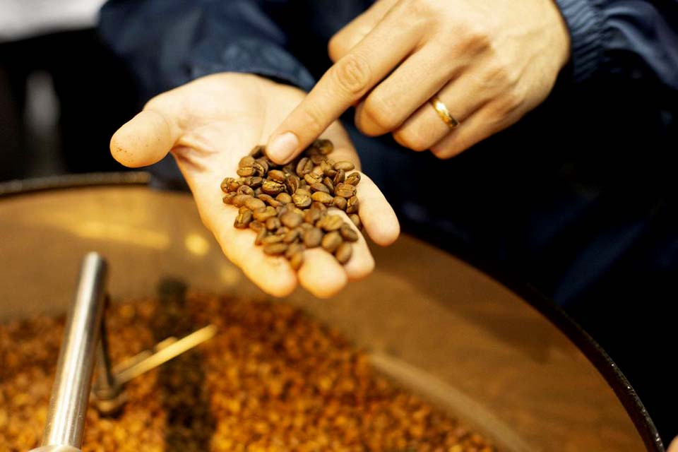Safra de café deve registrar aumento de 16,8%, diz Conab