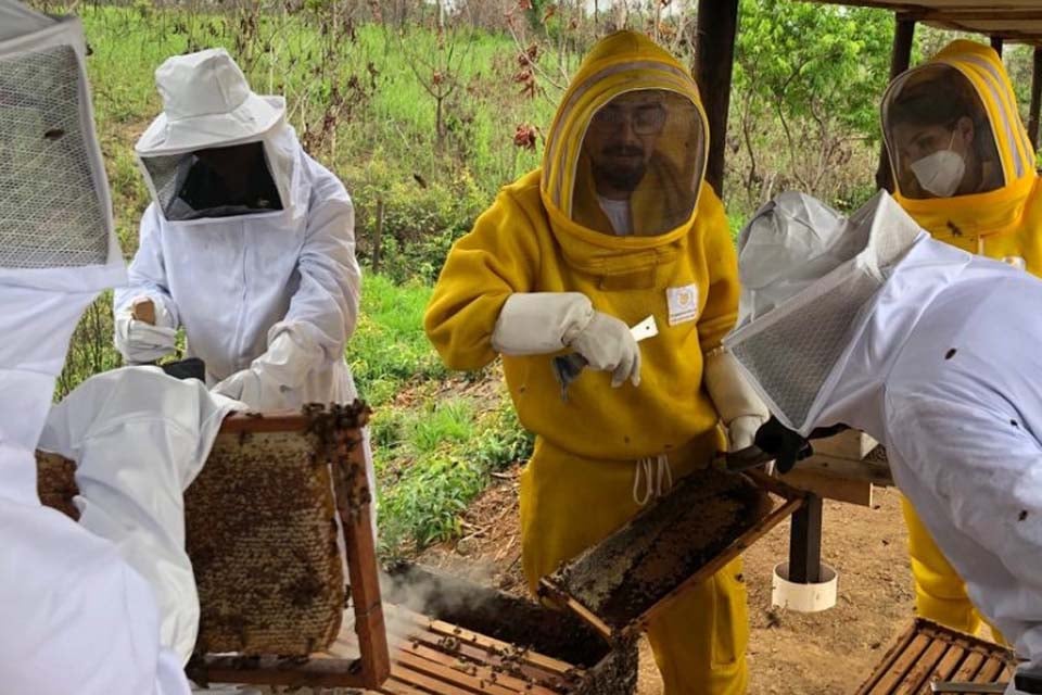 Governo de Rondônia inicia cadastro de apicultores e meliponicultores para fortalecer programa sanitário do setor