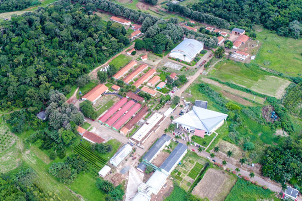 IFRO Campus Colorado do Oeste seleciona professores bolsistas para cursos EaD