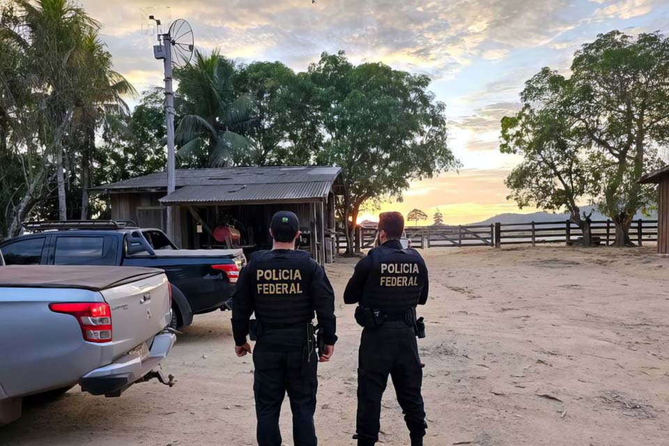 Polícia Federal combate desmatamento para criação de gado na floresta amazônica