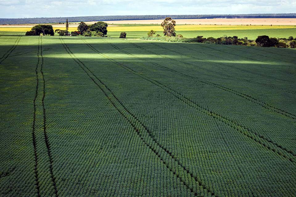 Câmara aprova MP que facilita captação de recursos para o setor rural