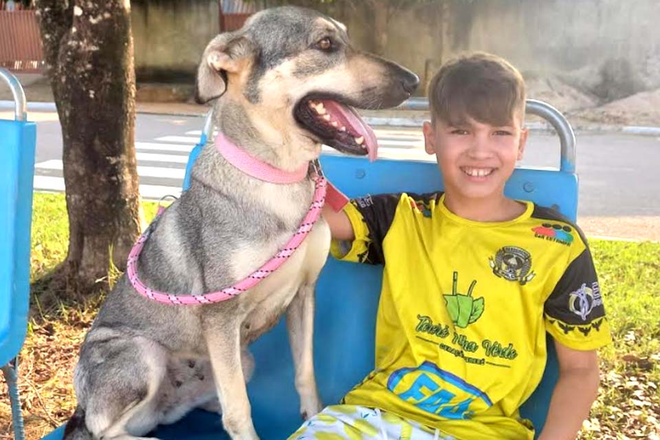 Prefeitura imuniza mais de 9 mil animais domésticos contra a raiva em Ariquemes