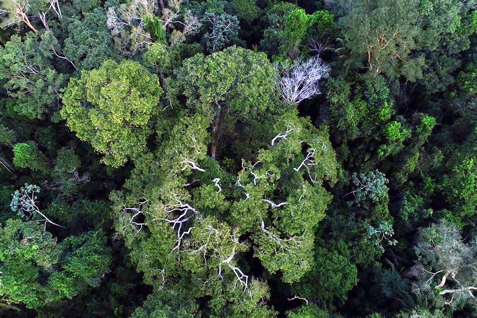 Belém sedia Diálogos Amazônicos a partir desta sexta-feira