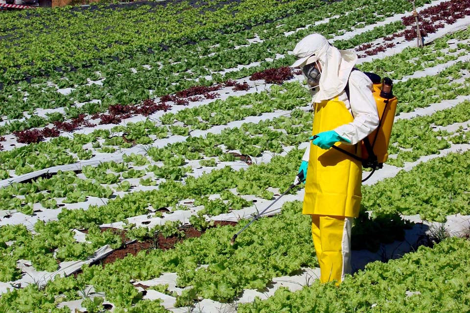 Agrotóxicos: 25% dos alimentos de origem vegetal no país têm resíduos