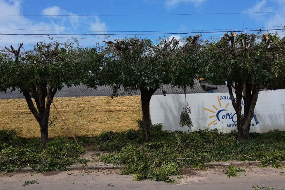 Departamento do Meio Ambiente realiza pode e corte de árvores no município