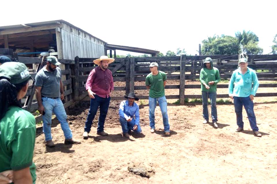 Técnicos da Semagri capacitam produtores de Nova Conquista sobre a criação de vacas leiteiras e gado de corte