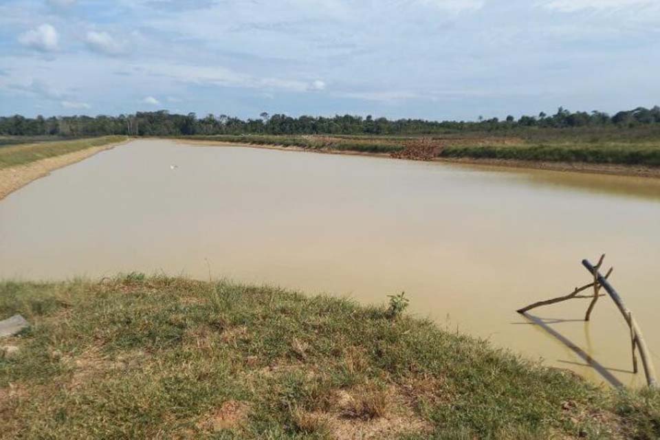 Atividade de irrigação de lavouras de café clonal recebe visita técnica