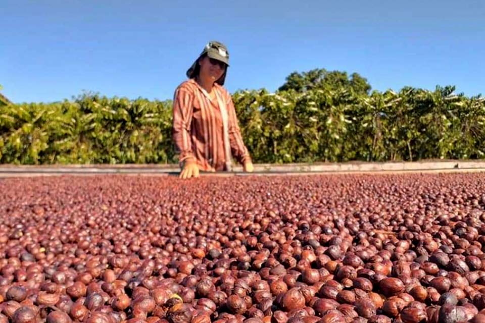 Mulheres agricultoras a 