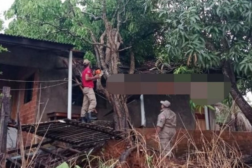 Temporal traz chuva com granizo e derruba árvores  fachadas de lojas e proteções de construções. 