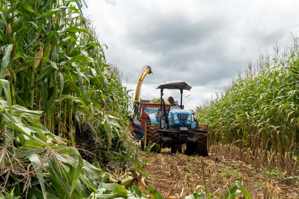 Prefeitura auxilia a produção de silagem em pequenas propriedades rurais