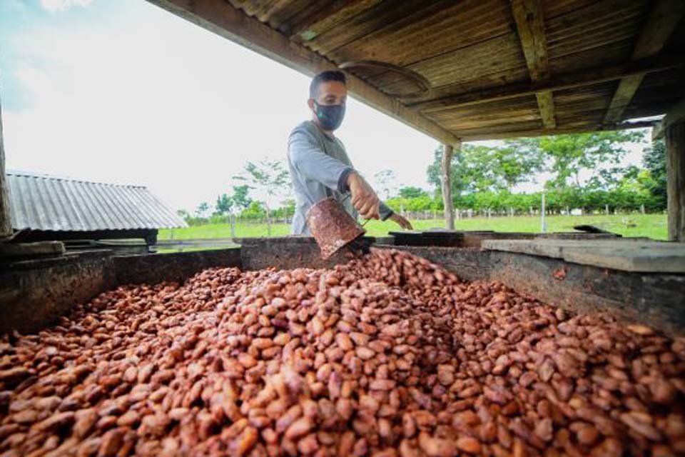 Lei cria selo “Produto 100% Rondônia” e incentiva consumo de alimentos e bebidas com origens no Estado