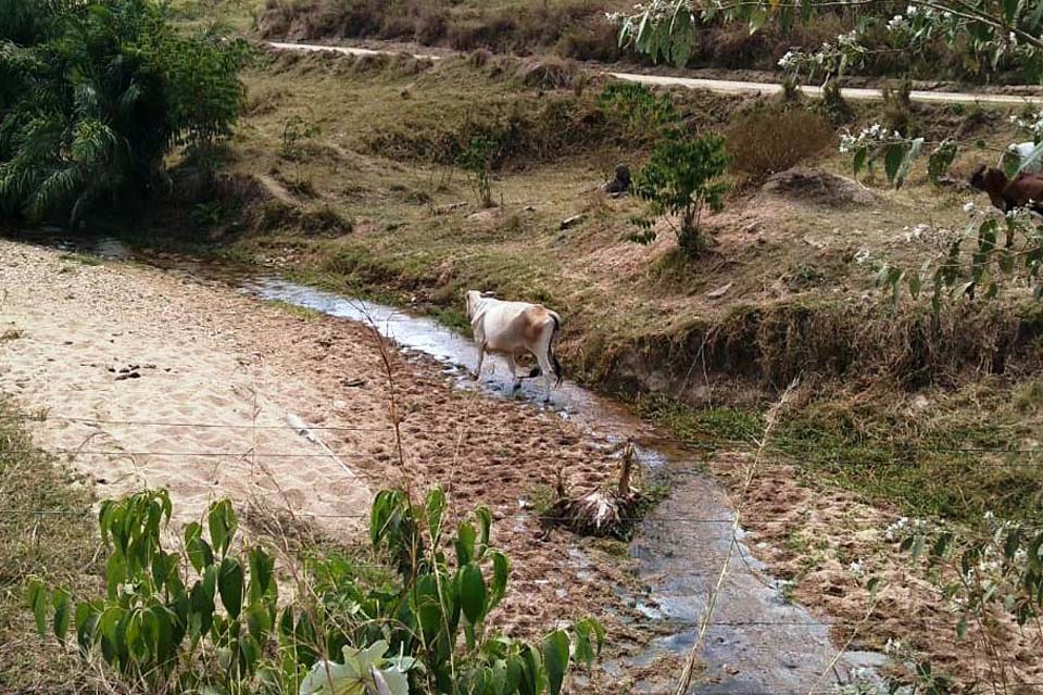 Soluções práticas para o trabalho no campo são destacadas para conservação de água durante estiagem