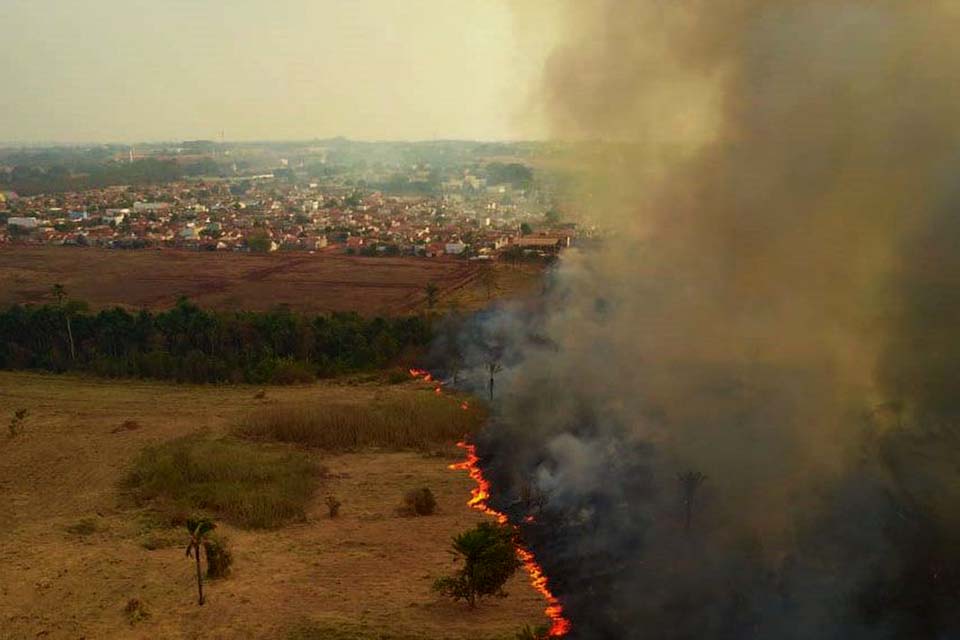 Senado instala comissão para fiscalizar ações contra fogo no Pantanal