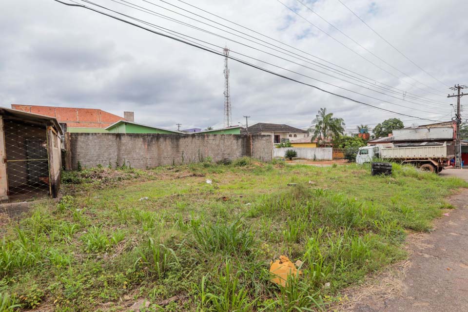 Saiba como denunciar crimes ambientais em Porto Velho