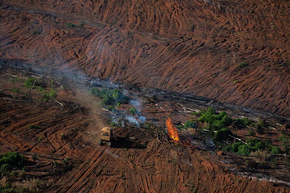 Rondônia foi o 4º estado mais desmatado na Amazônia Legal em fevereiro, aponta Imazon