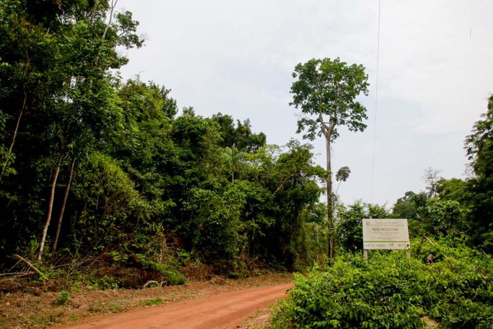 Missão técnica para avaliar avanços do projeto “Paisagens Sustentáveis” é realizada pela Sedam em parceira com o Ministério do Meio Ambiente