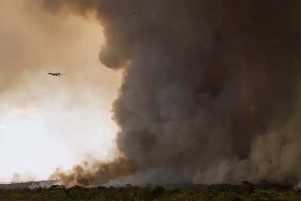 Fogo avança e queima 700 hectares do Parque Nacional de Brasília