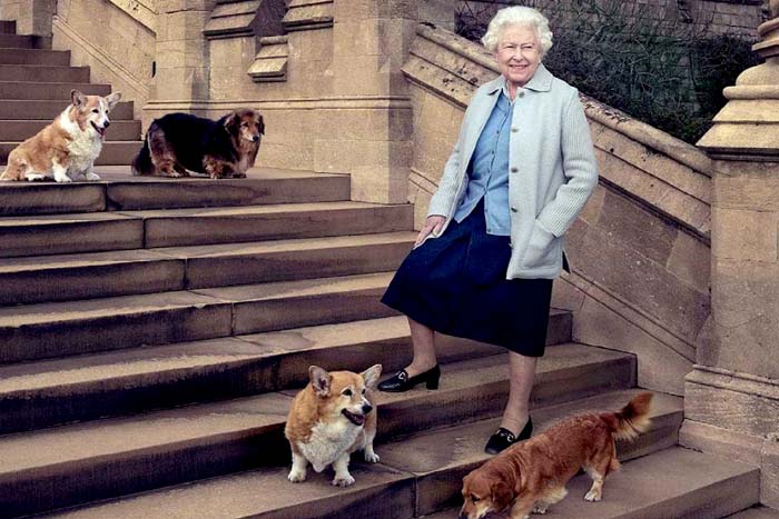 Morre Willow, o último corgi da rainha Elizabeth II