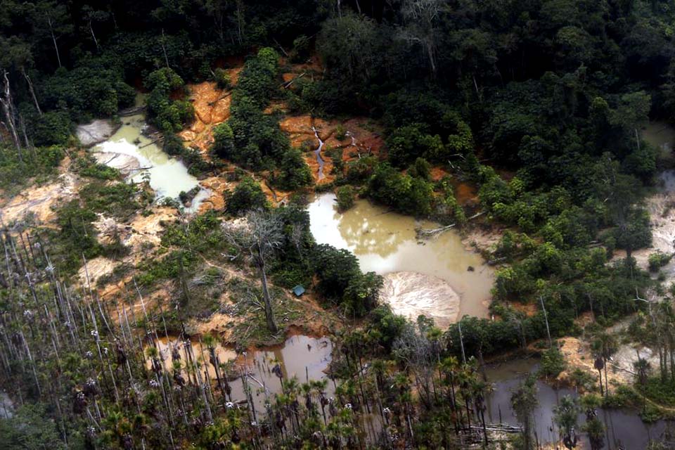 Yanomami pedem água potável e dizem que garimpo ilegal contamina rios