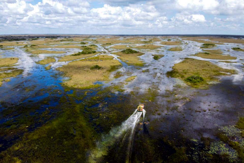 EUA anuncia investimento histórico para restaurar os Everglades