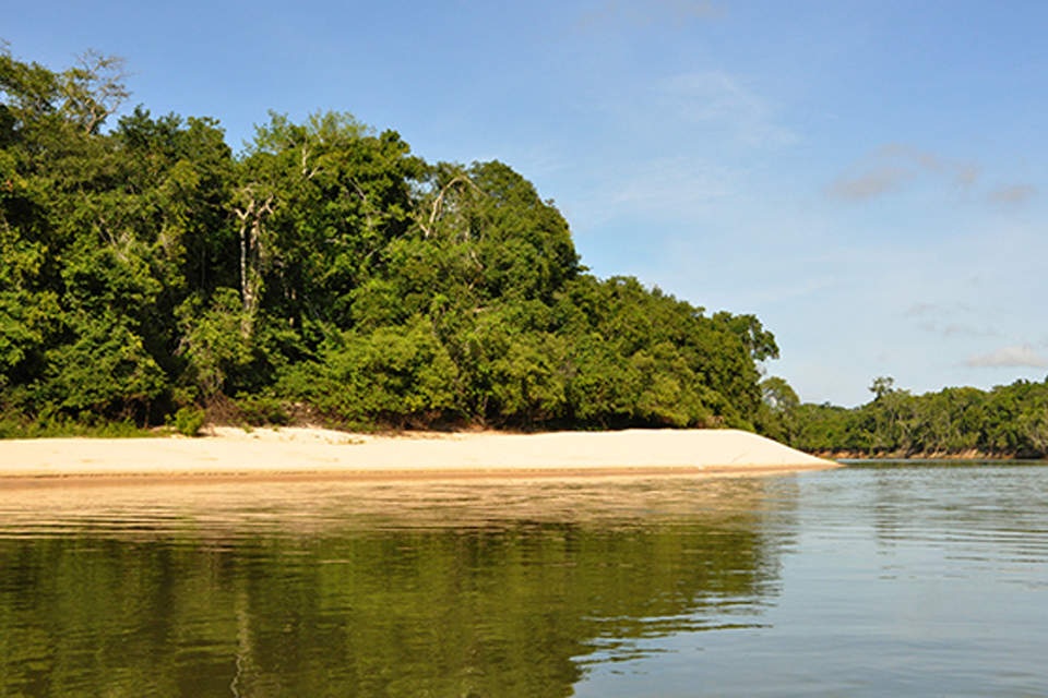 Rondônia assina Termo de Cooperação para restauração florestal em unidades de conservação