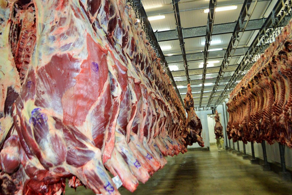 Agronegócio: Emissões de GTA Online fecha o trimestre com 195 milhões de dólares em exportação de carne em Rondônia