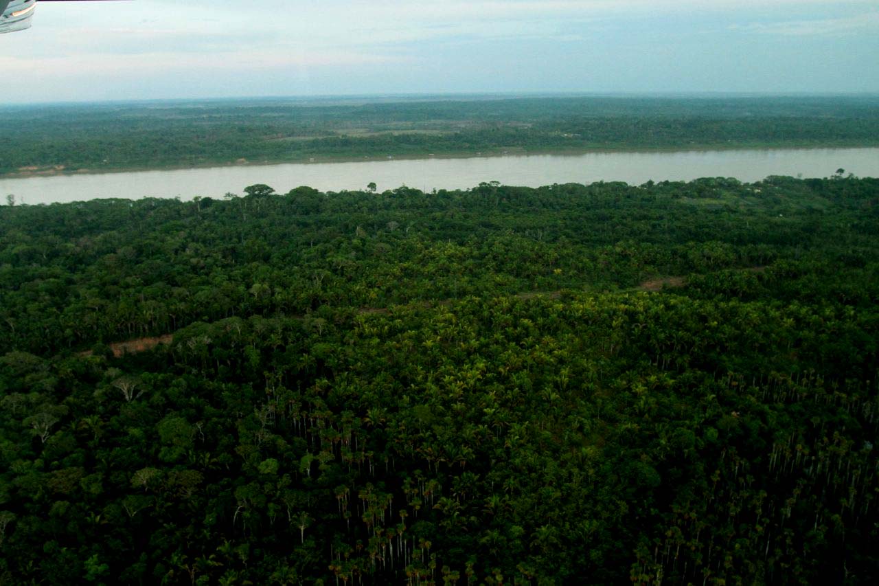 Mato Grosso aprova leis ambientais contrárias à legislação federal