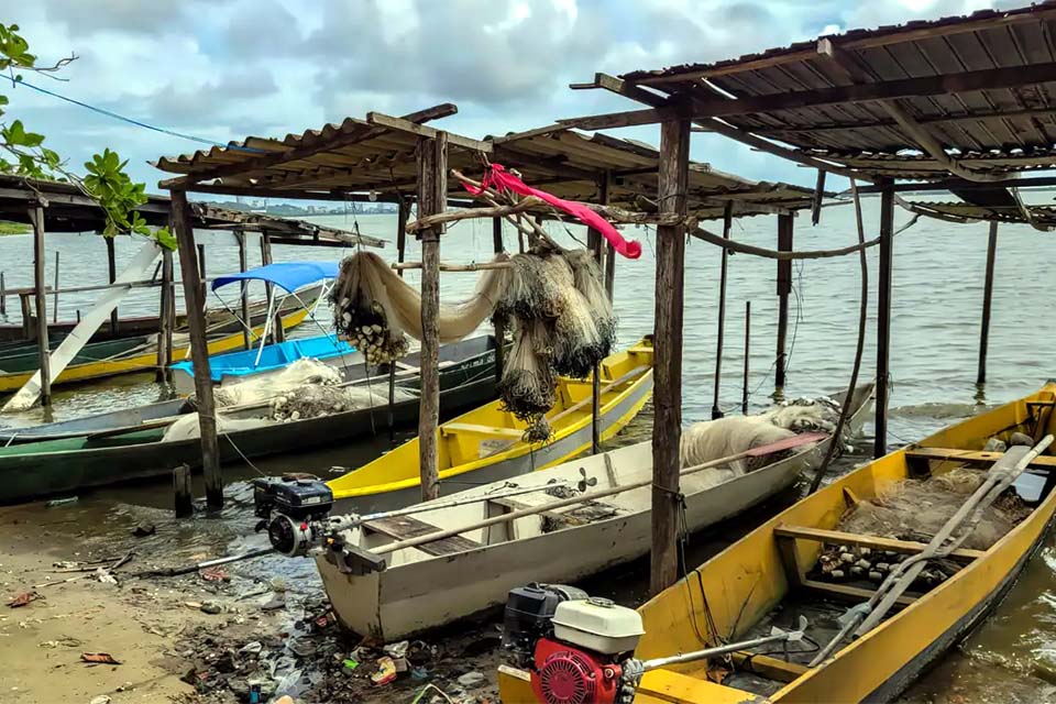 Peixe na água e rede vazia: desastre da Braskem atinge pescadores