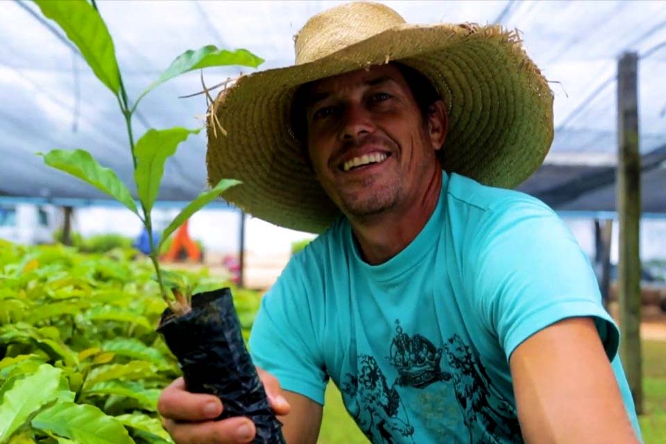Cafeicultores de Rondônia recebem mudas de café robusta para fomentar a produção