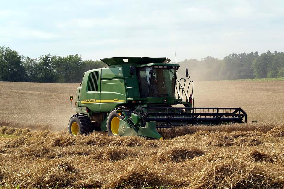 Relatório denuncia relação entre mercado e grilagem no Cerrado