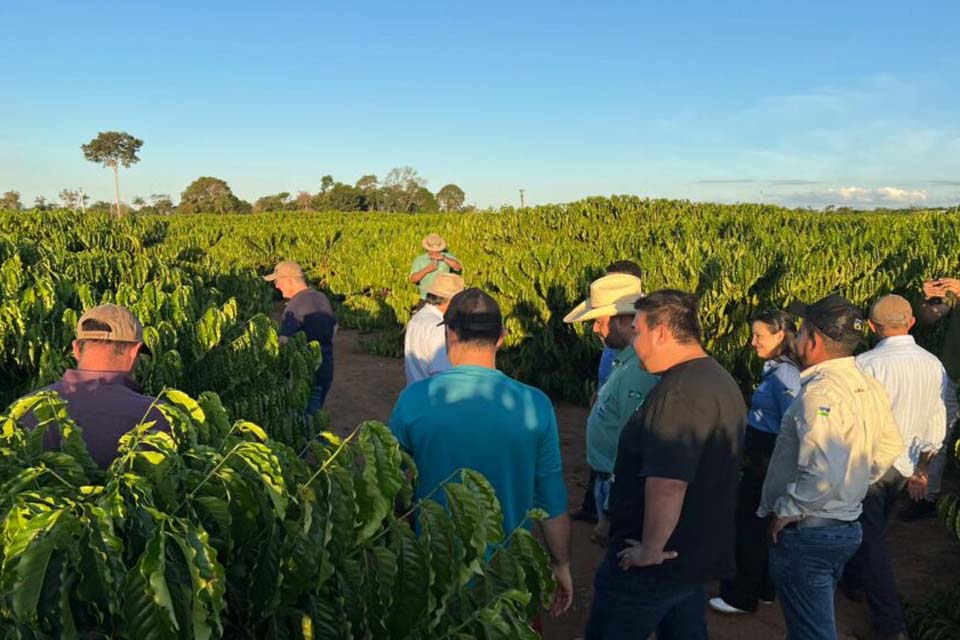 Crescimento da cadeia produtiva do café de Rondônia é destacado por cooperativa de Minas Gerais