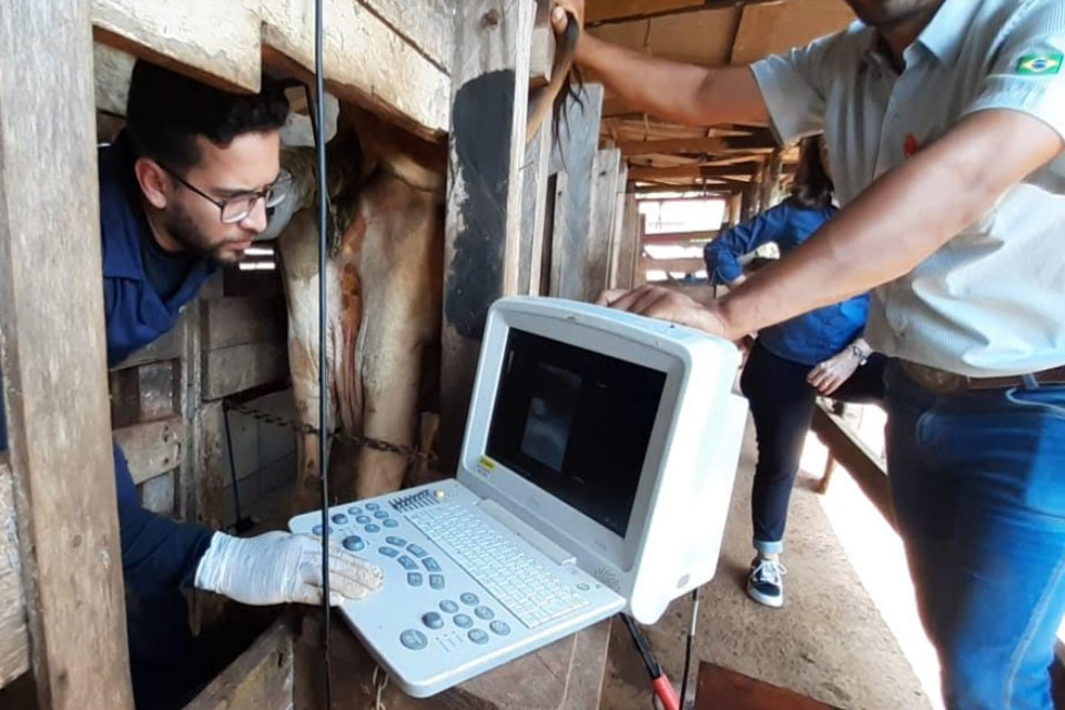 Inovação no meio rural Sebraetec subsidia 70% dos custos