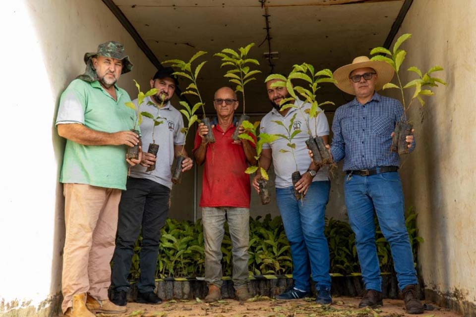 Secretaria de Agricultura realiza entrega de mudas clonais de café