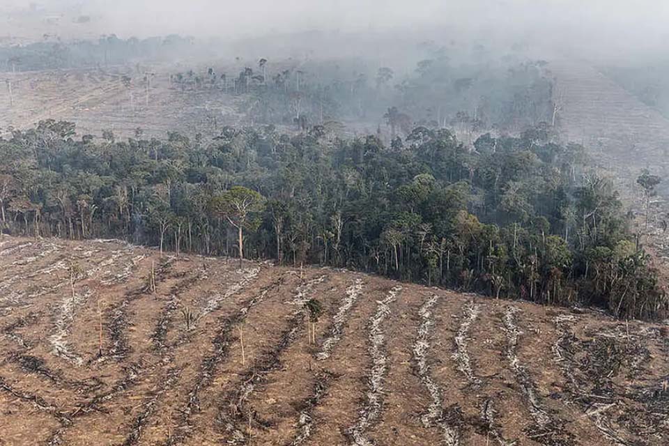 Fogo na Amazônia é etapa da exploração econômica do bioma