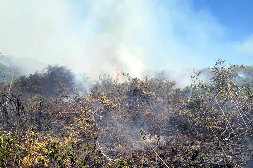 Equipes lutam para conter queimadas no Pantanal