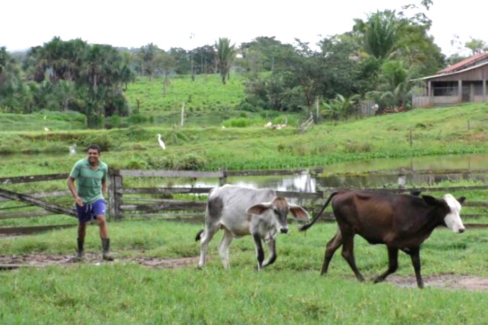 Práticas que visam redução das emissões de gases de efeito estufa são definidas em plano de ação do governo de Rondônia