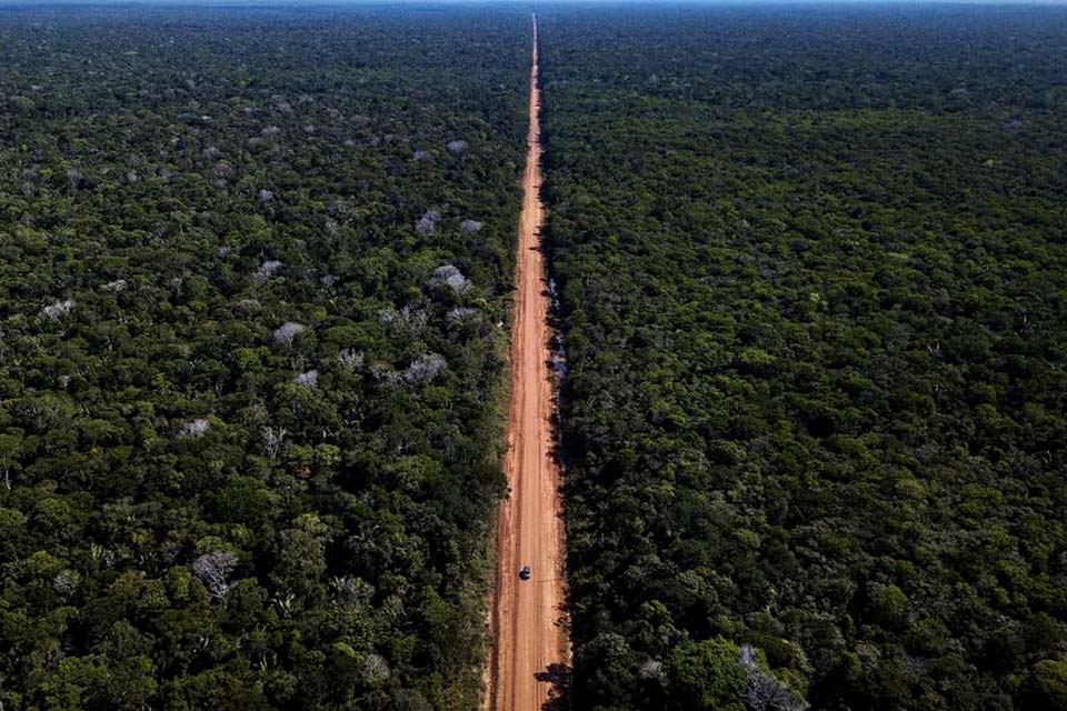 Capes divulga selecionados para programa de pesquisa na Amazônia Legal