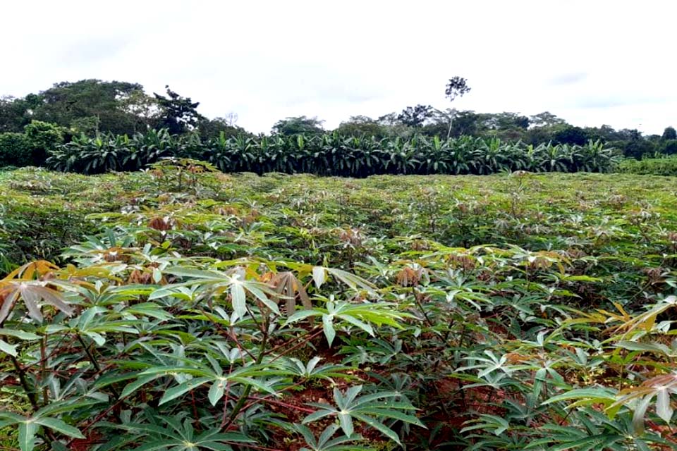 Semagri aprova mais um projeto para construção de agroindústria familiar 