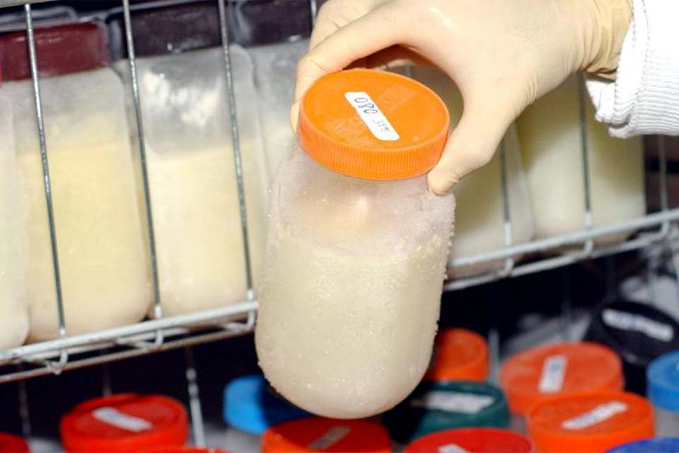 Brasil exporta projeto de bancos de leite para parceiros do Brics