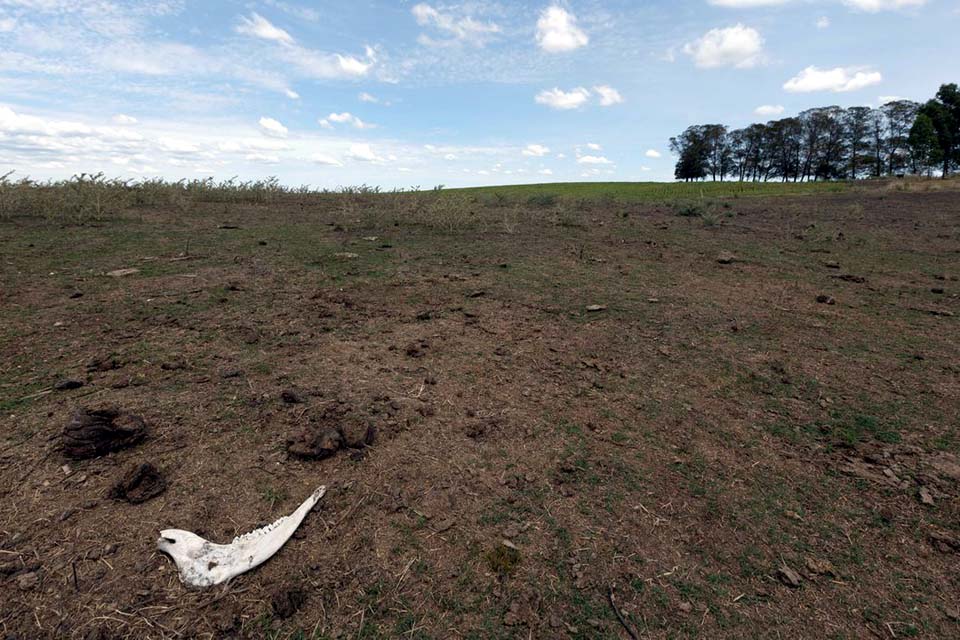 Governo lança plataforma para identificar vulnerabilidades climáticas